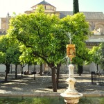 Pomarančové nádvorie Córdoba
