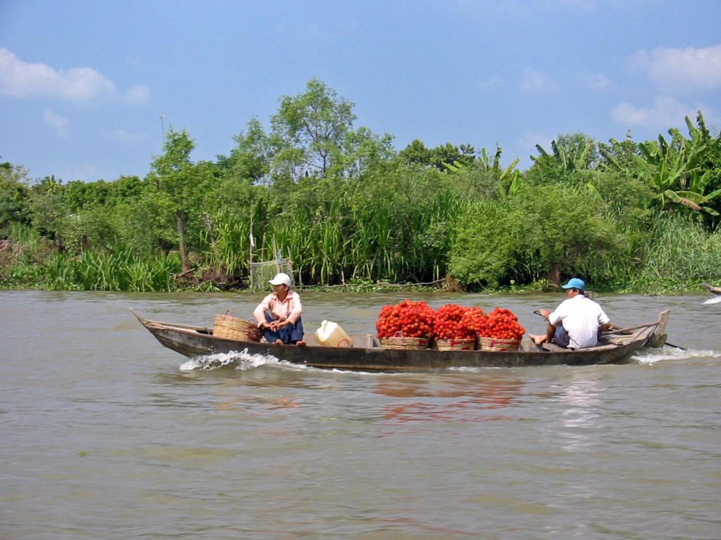 Mekong_Delta