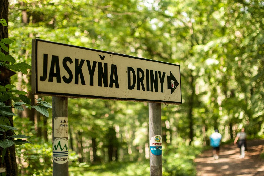 jaskyňa driny - lesná cesta