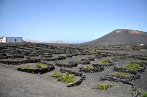 La Geria, Lanzarote