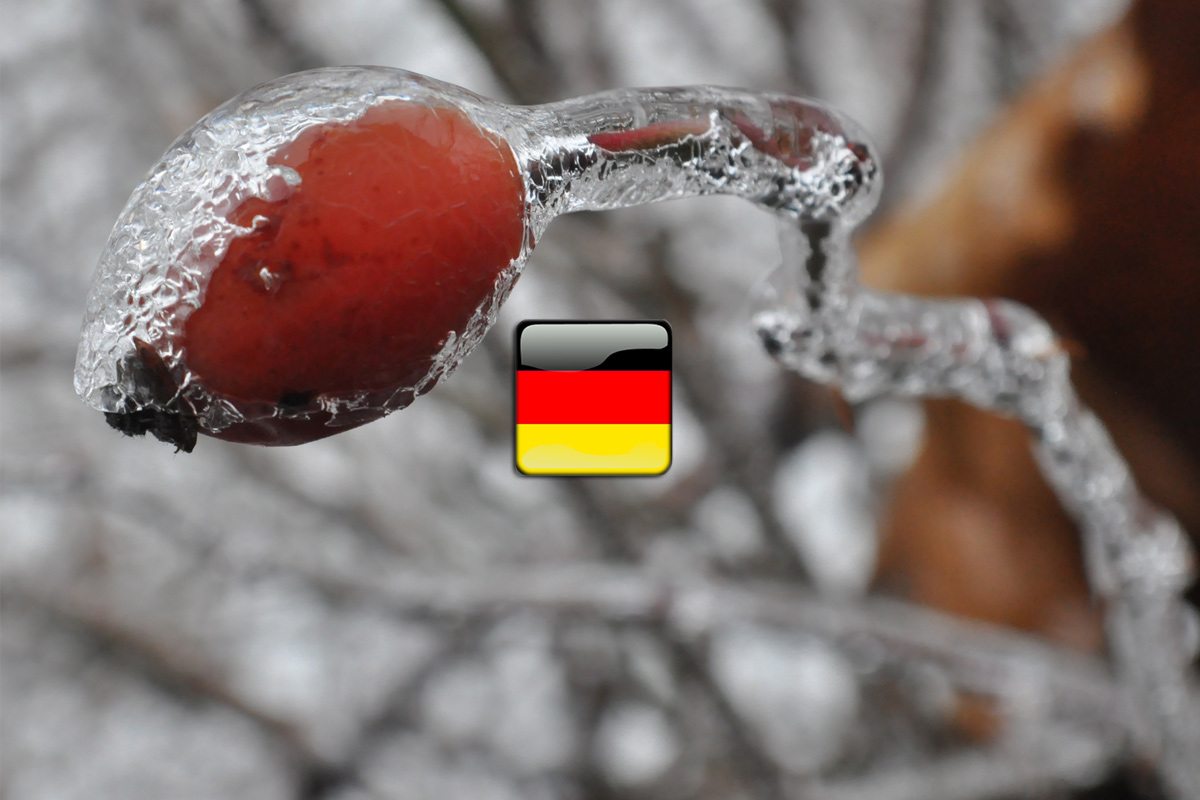 počasie po nemecky