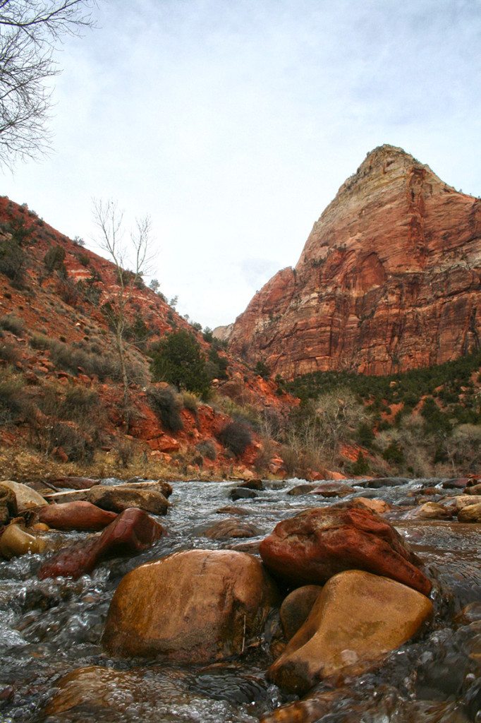 Zion National park - river