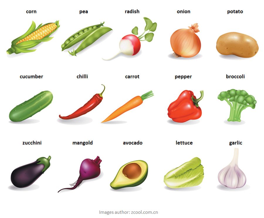 zelenina po anglicky - vegetable