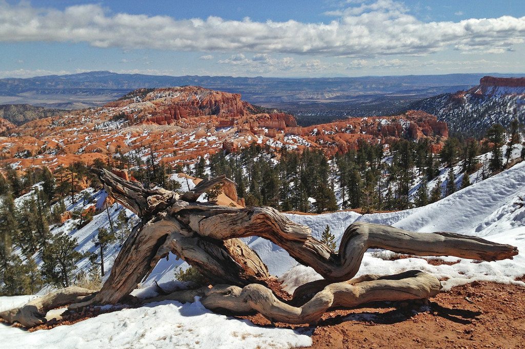 Bryce Canyon national park - amphiteater