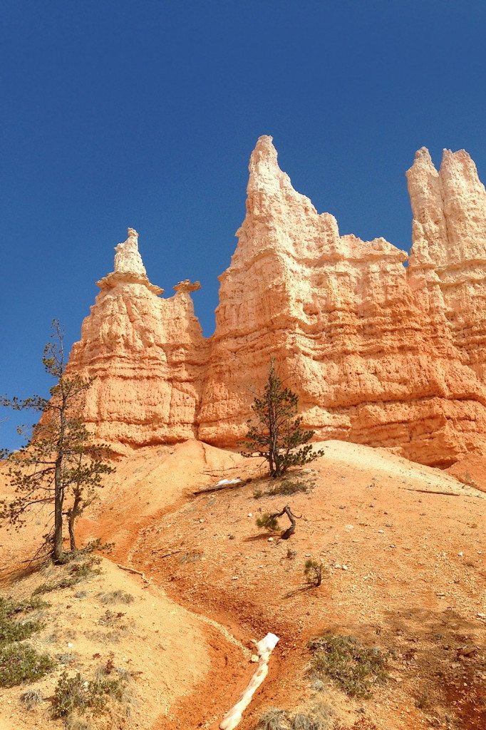 Queen Victoria hoodoo - Bryce Canyon National Park