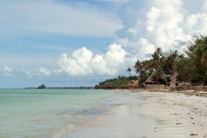 Zanzibar - pláž a more