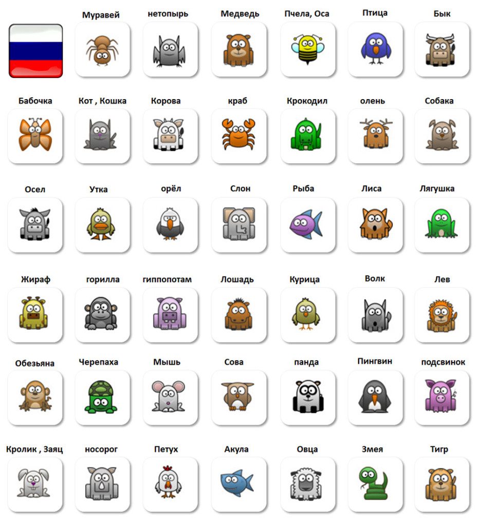 zvieratá po rusky - ruština pre samoukov