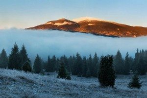 Hmla na Kráľovej holi, Slovensko