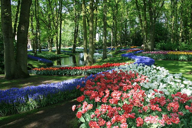 Keukenhof, Nederland