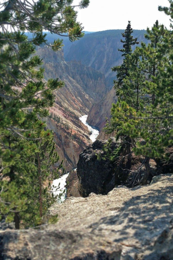 Yellowstone Grand Canyon