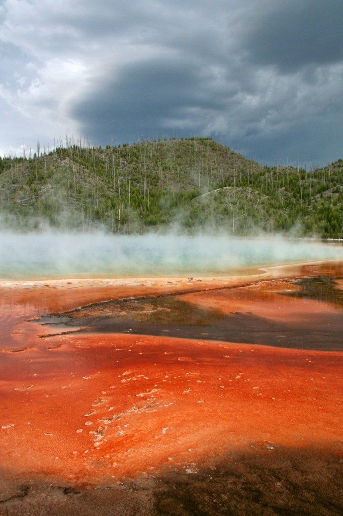 Yellowstone National Park - red pool