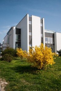 knižnica Piešťany