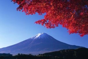 Japonsko - Fuji a sakura