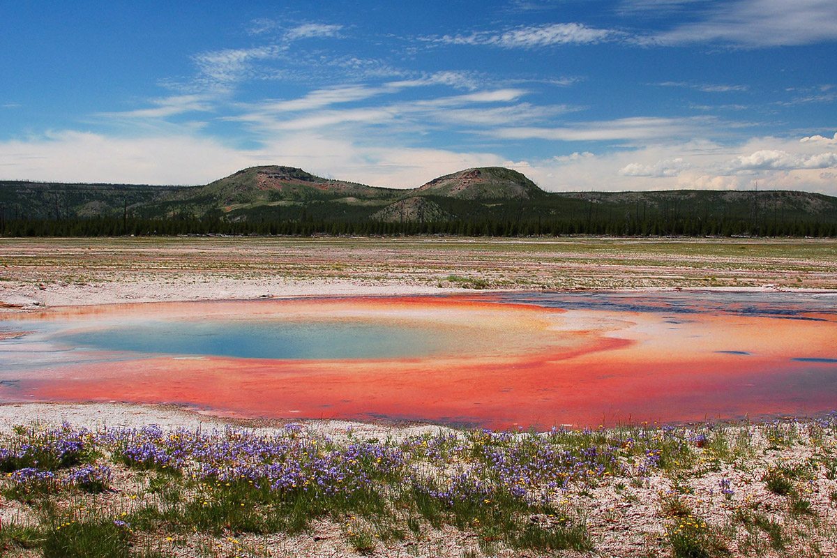 Yellowstone National Park