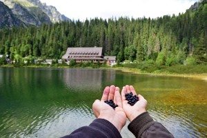 sladká túra na Popradské pleso