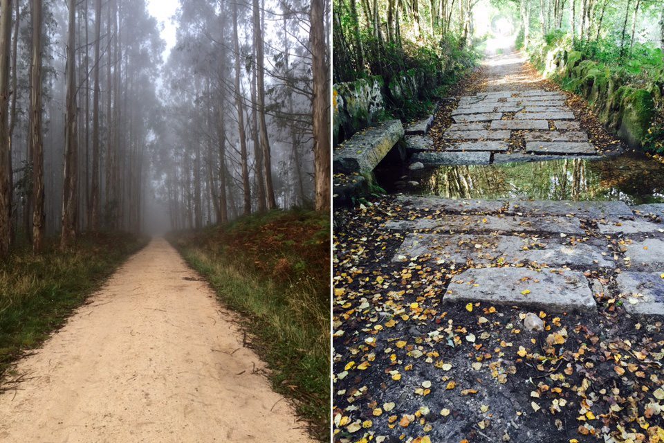 camino lesné cesty