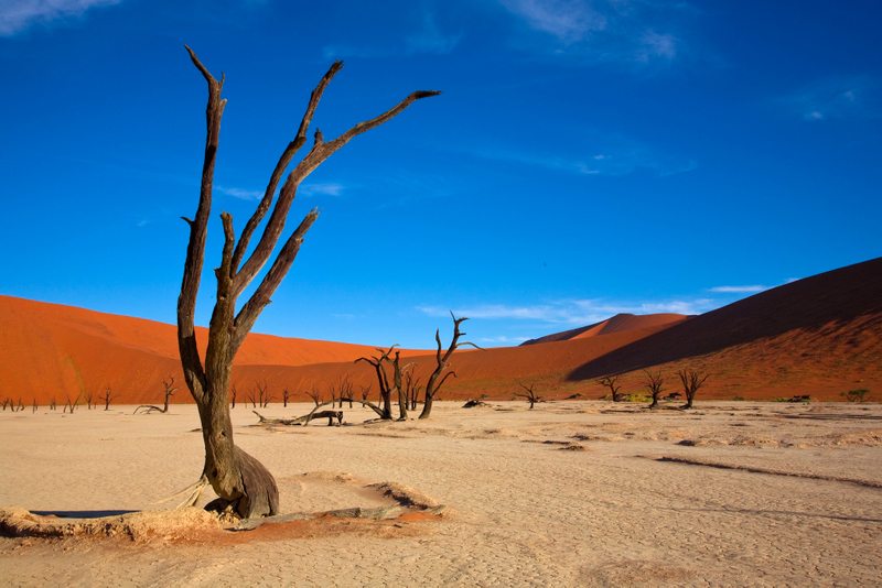 Namíbia - Deadvlei
