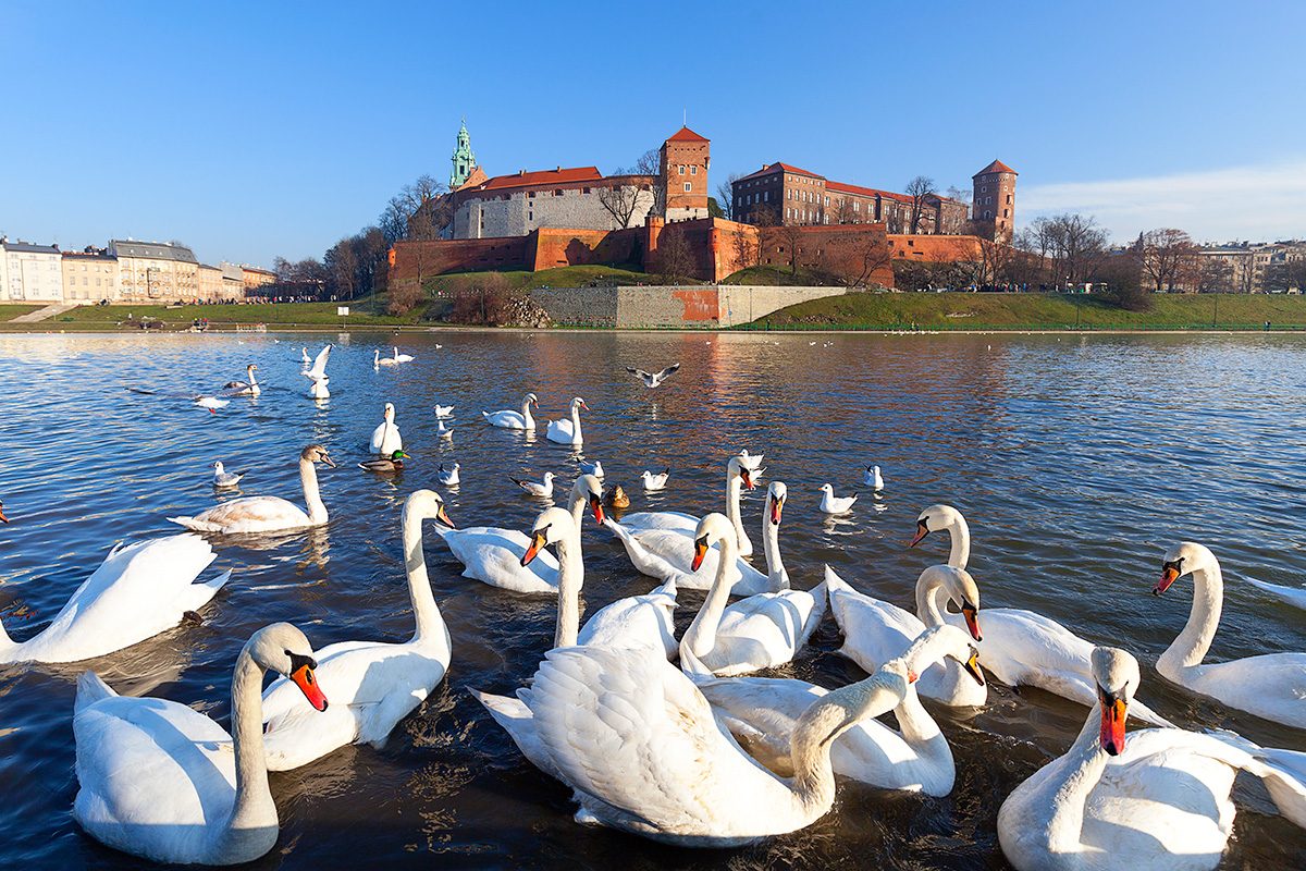 Wawel, hrad v Krakove