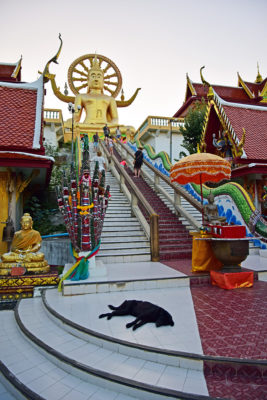 Big Budha Koh Samui