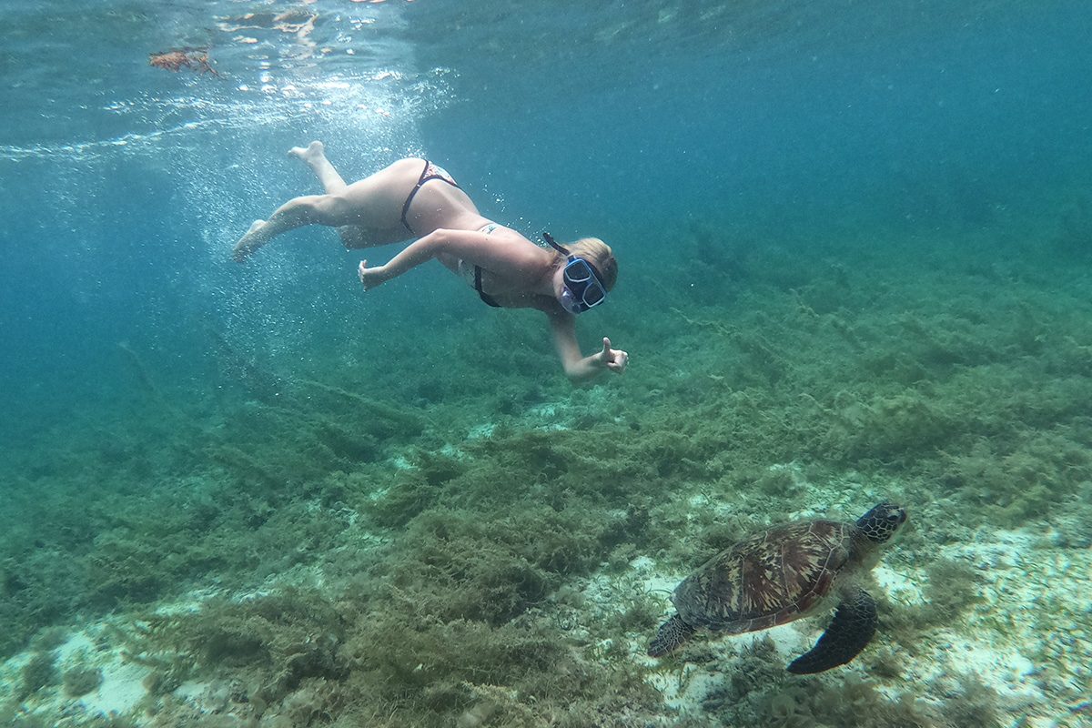 plávanie s korytnačkami Moalboal, Cebu